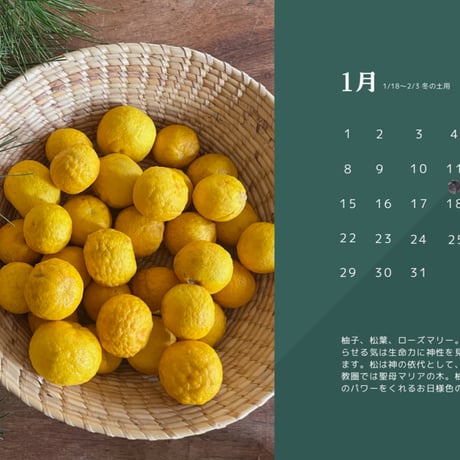 全一の酵素シロップ/植物採取カレンダー2024