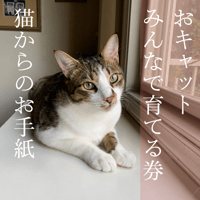 おキャットみんなで育てる券/猫のお手紙