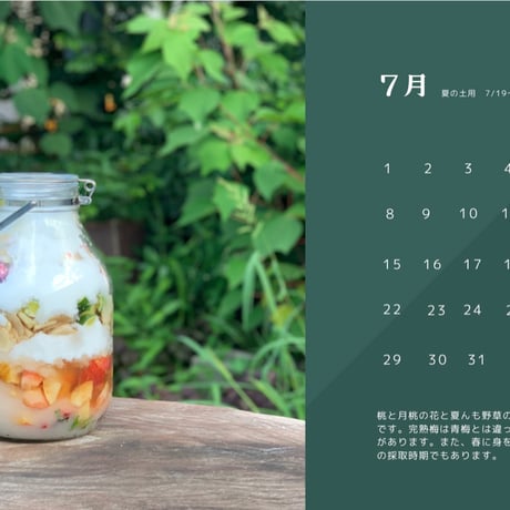 全一の酵素シロップ/植物採取カレンダー2024