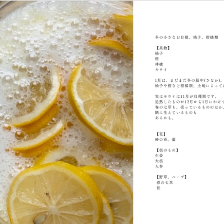 全一の酵素シロップ/植物採取カレンダー2024