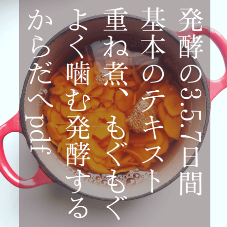 発酵の3.5.7日間、基本のテキスト/重ね煮、もぐもぐよく噛む、発酵するからだへpdf