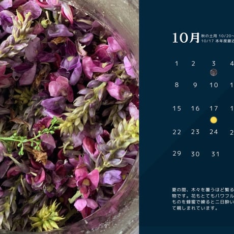 全一の酵素シロップ/植物採取カレンダー2024