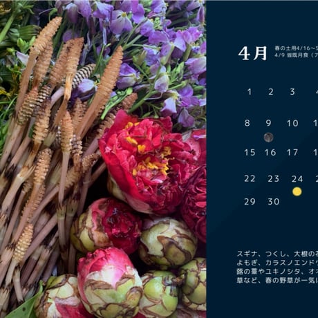 全一の酵素シロップ/植物採取カレンダー2024