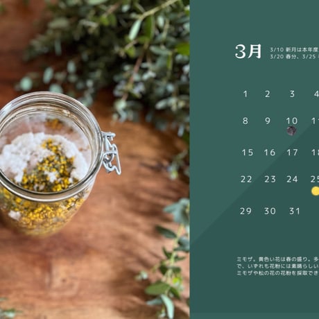 全一の酵素シロップ/植物採取カレンダー2024