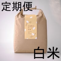 大和町の おいしい お米 【白米4.5kg】
