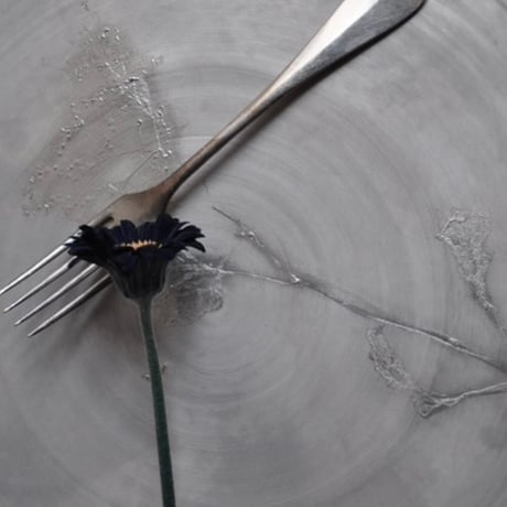 nuance plate / Matsumoto Miyako