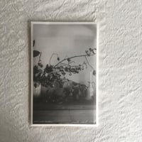 postcard set/tsubakino Eriko