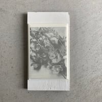 postcard set / Eriko Tsubakino