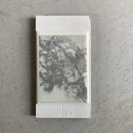 postcard set / Eriko Tsubakino