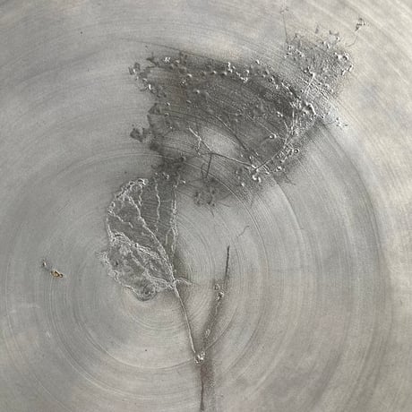 nuance plate / Matsumoto Miyako