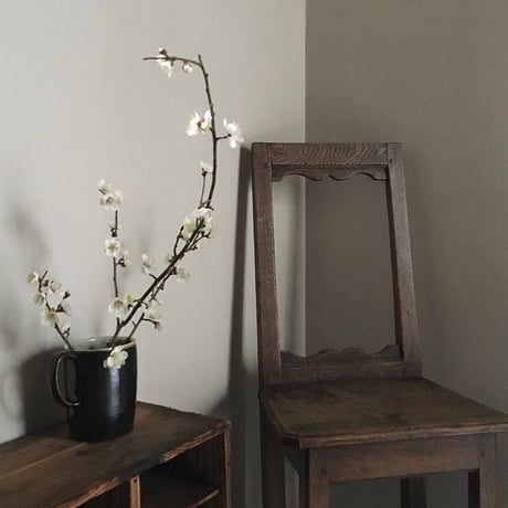 "ameyuuyaku pitcher" / Jyo Susumu