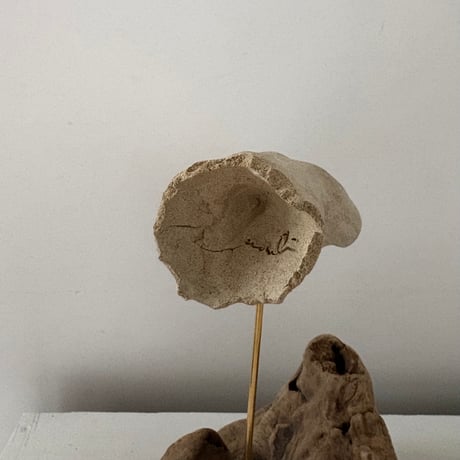 object "雫” / Warabino Tomoko