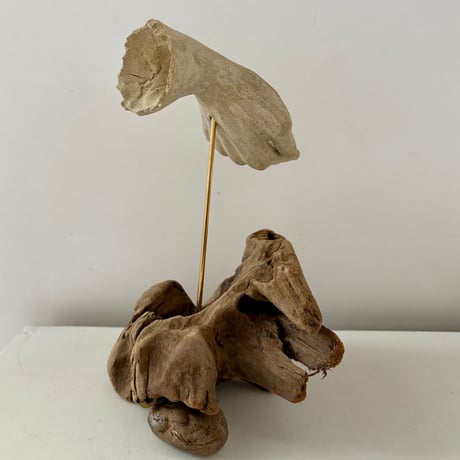 object "雫” / Warabino Tomoko