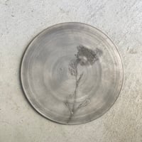 nuance plate / Matsumoto Miyako