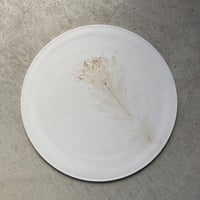 nuance plate(white) / Matsumoto Miyako