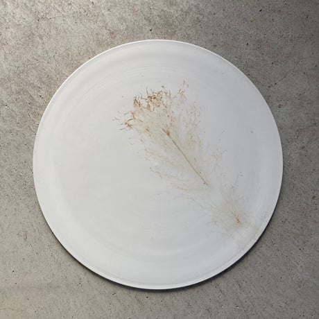 nuance plate(white) / Matsumoto Miyako