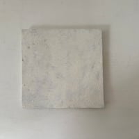 tray / Warabino Tomoko