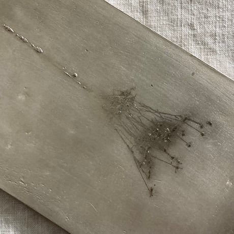 "nuance" plate / Matsumoto Miyako
