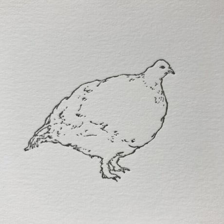 Letterpress printing / tadokoro mariko