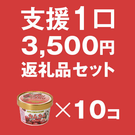 支援1口カムカムシャーベット10個　限定500セット