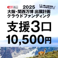 【返礼品なし支援】純支援　3口（JCBカード決済対象外）