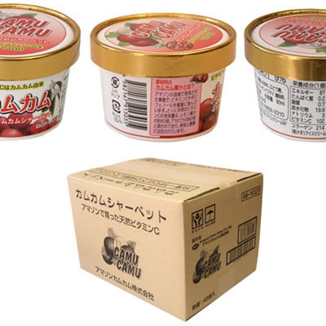 支援1口カムカムシャーベット10個　限定500セット