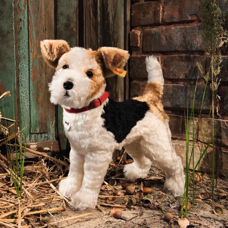 シュタイフ○Steiff 031717○犬、フォクシーフォックステリア シュタイフ○Steiff 031717○犬、フォクシーフォックステリア