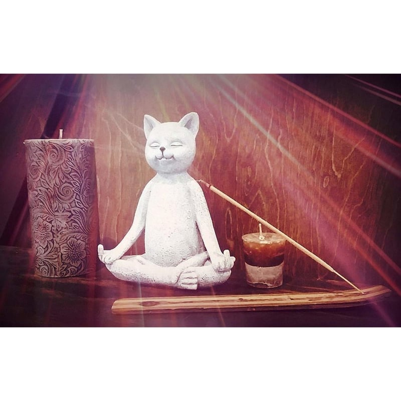CAAAAT○世界の猫GOODS○ヨガをする猫、瞑想猫 tatue-7○Funny Guy M...