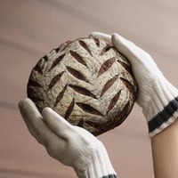 果実と種のカンパーニュ