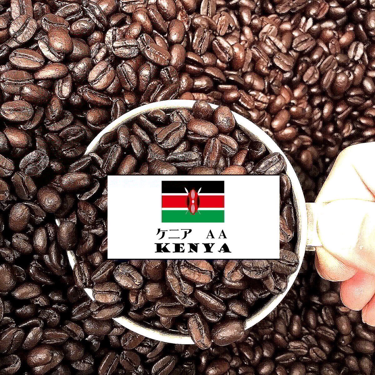ケニアAA（深煎り） KENYA 100g | HAKUBA COFFEE STAND