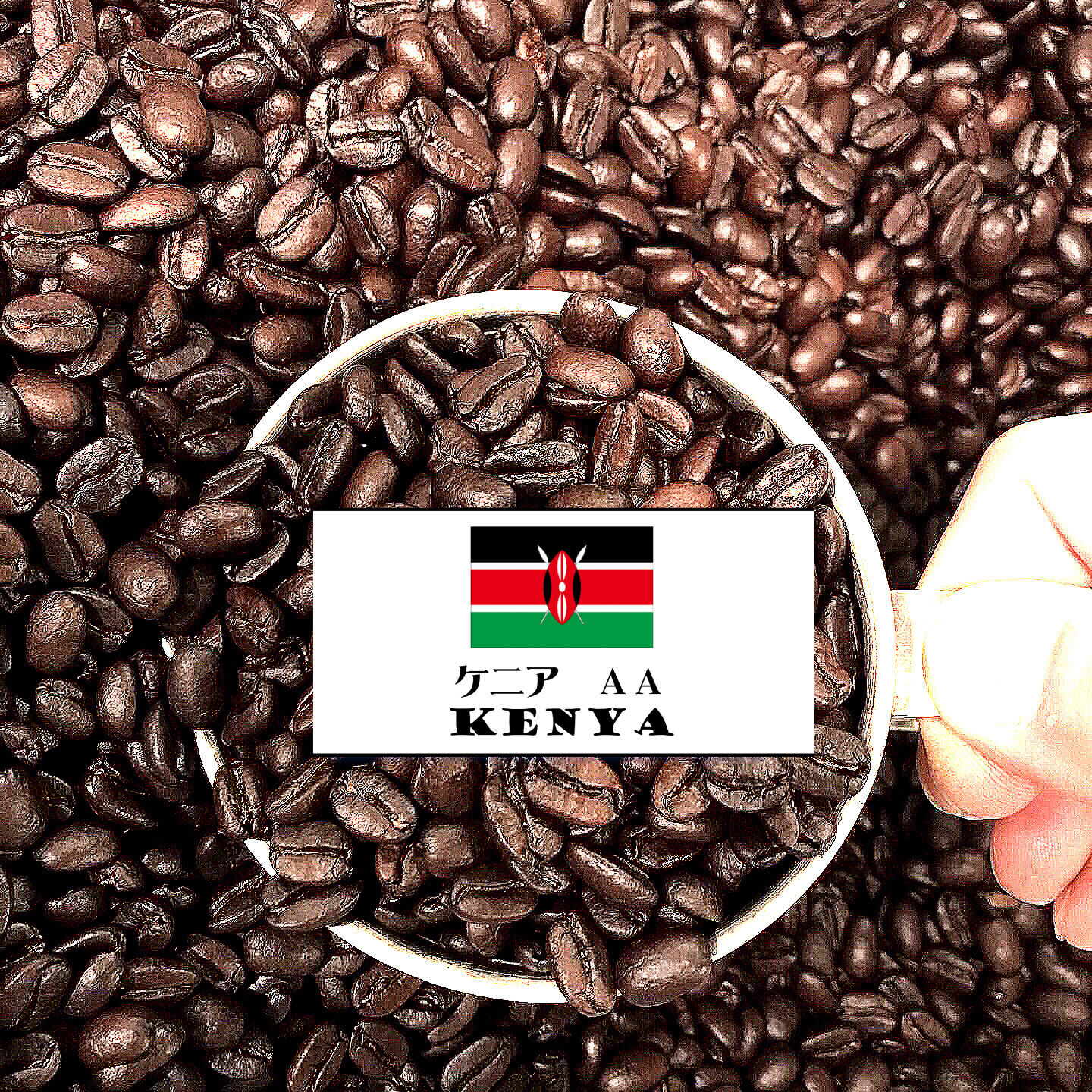 ケニアAA（深煎り） KENYA 100g | HAKUBA COFFEE STAND