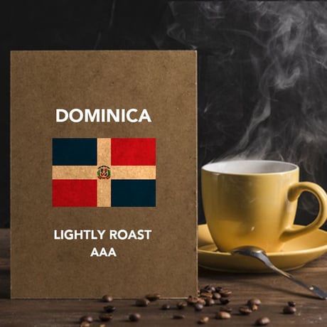 ドミニカ共和国ＡＡＡ（浅煎り）　DOMINICAN　１００ｇ