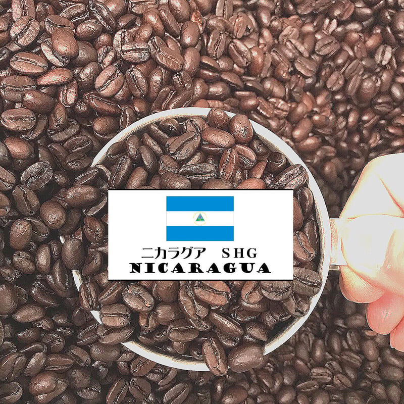 ニカラグアSHG（中煎り） NICARAGUA 100g | HAKUBA COFFEE STAND