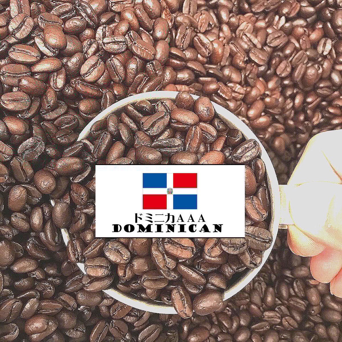 fit=scale-down,w=1200