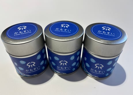 【おさかなくらげ様】専用オーダーページ A4サイズ下敷き】クラゲグッズ◇おもしろ文房具◇くらげの図鑑◇海月