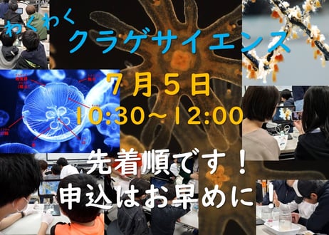 海月灯りオンラインショップ