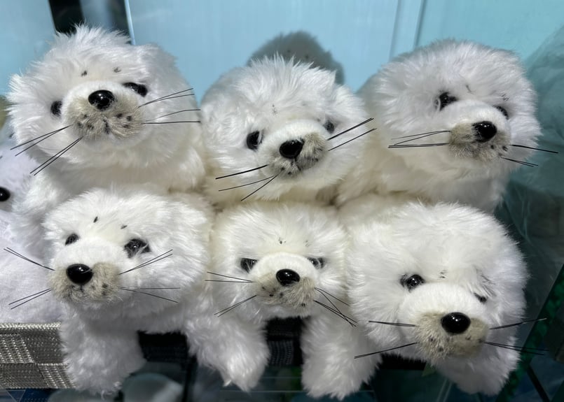 くたくたあざらし | 海月灯りオンラインショップ