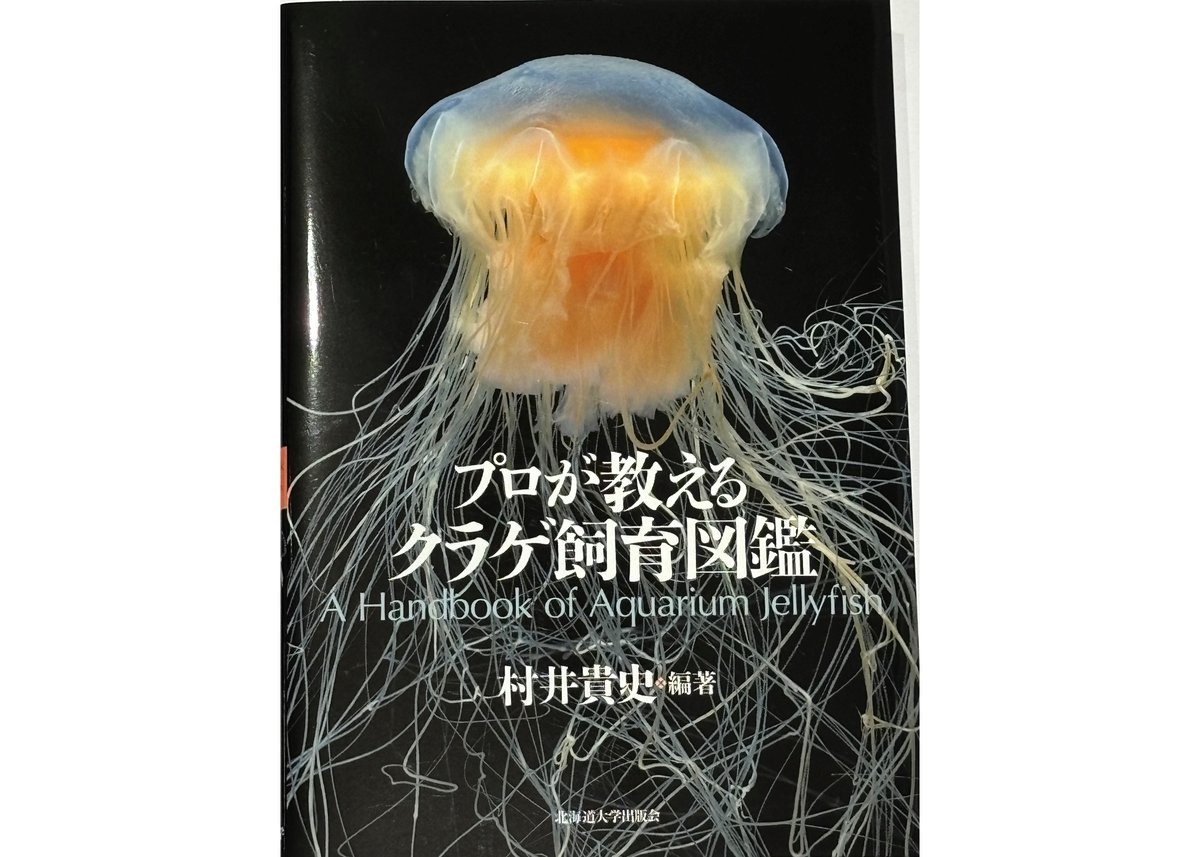 プロが教えるクラゲ飼育図鑑 | 海月灯りオンラインショップ