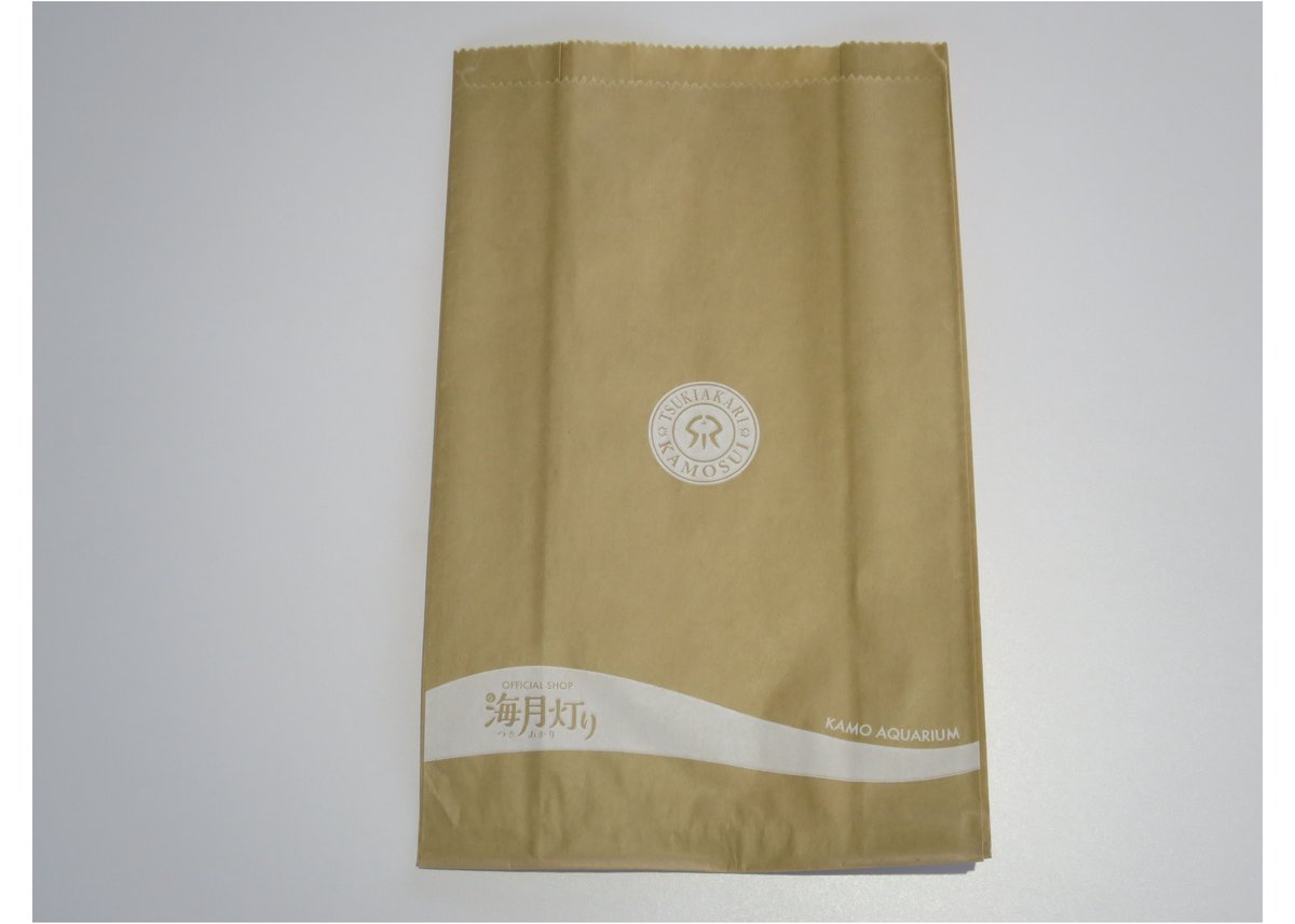 紙袋 ショップ袋　中 REGAL - 【REGAL】ショップ袋 ショッパー 紙袋の通販 by