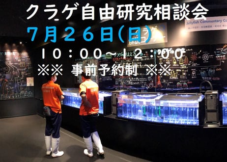 ITEM | 海月灯りオンラインショップ