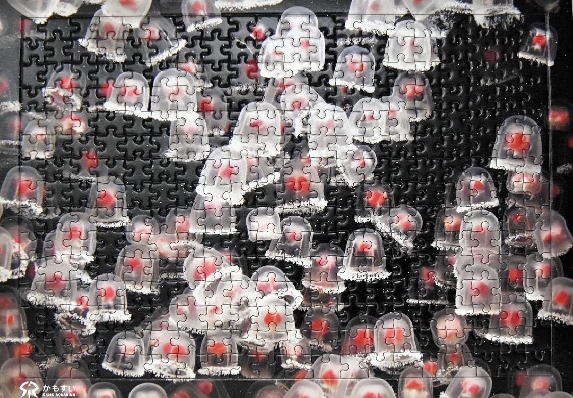 クラゲさんへ 飼育員の暴走シリーズ 第2弾！】超難解クラゲパズル | 海月灯り