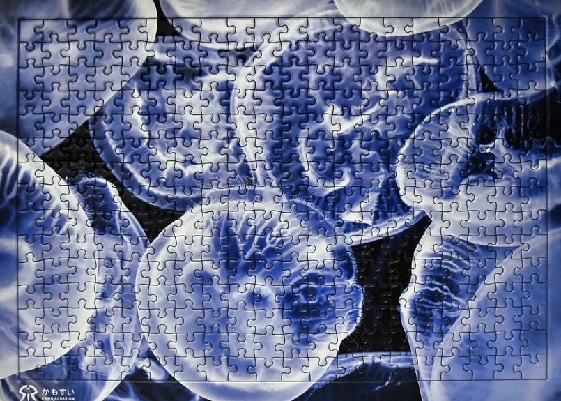 飼育員の暴走シリーズ 第2弾！】超難解クラゲパズル | 海月灯り