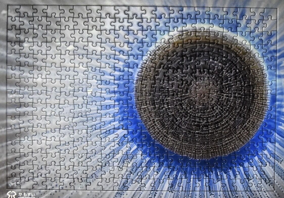 飼育員の暴走シリーズ 第2弾！】超難解クラゲパズル | 海月灯り