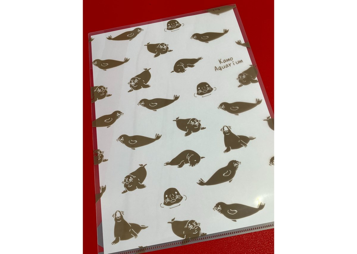 【大特価】オールナイトフジコ クリアファイル なおみクリアファイル | 海月灯りオンラインショップ