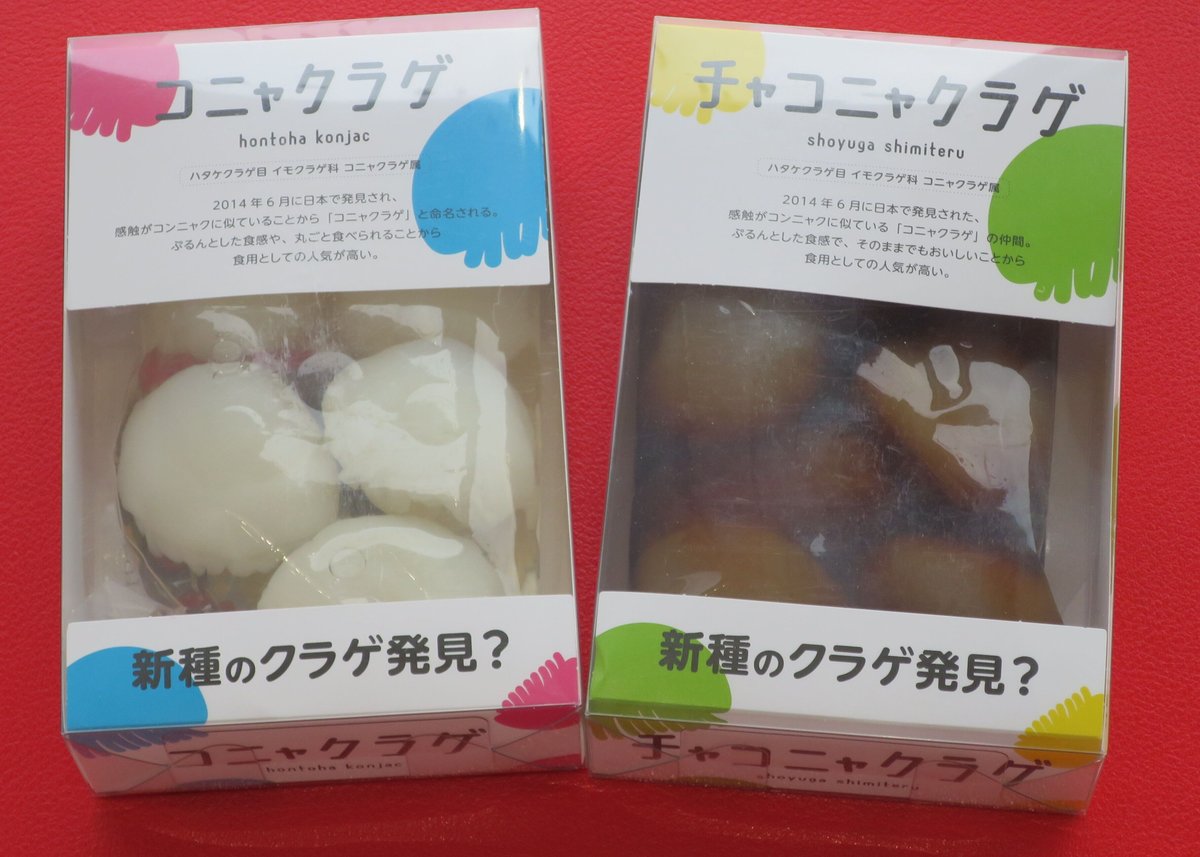 くらげこんにゃく』2個セット | 海月灯りオンラインショップ