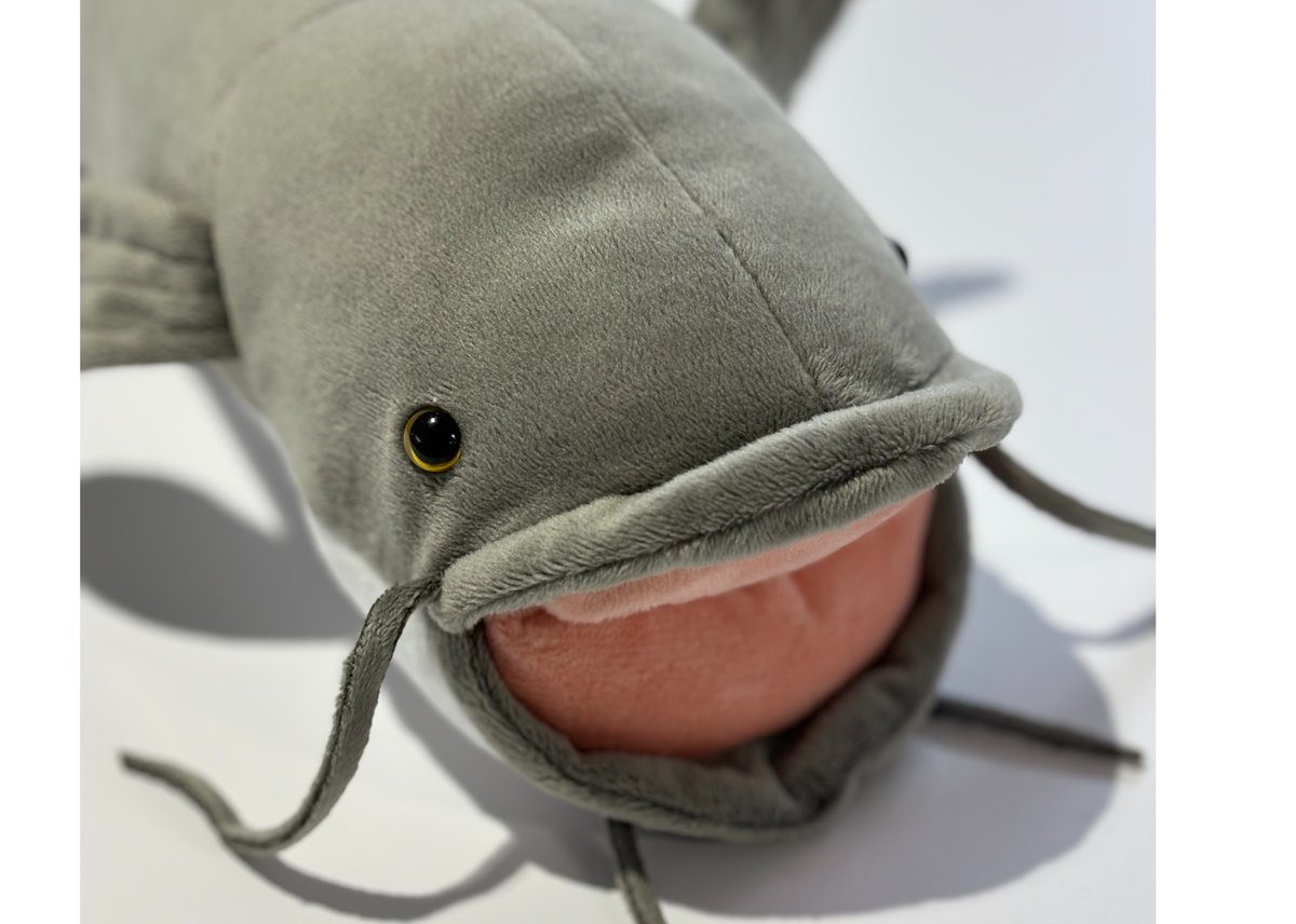 なまずぬいぐるみ | 海月灯りオンラインショップ