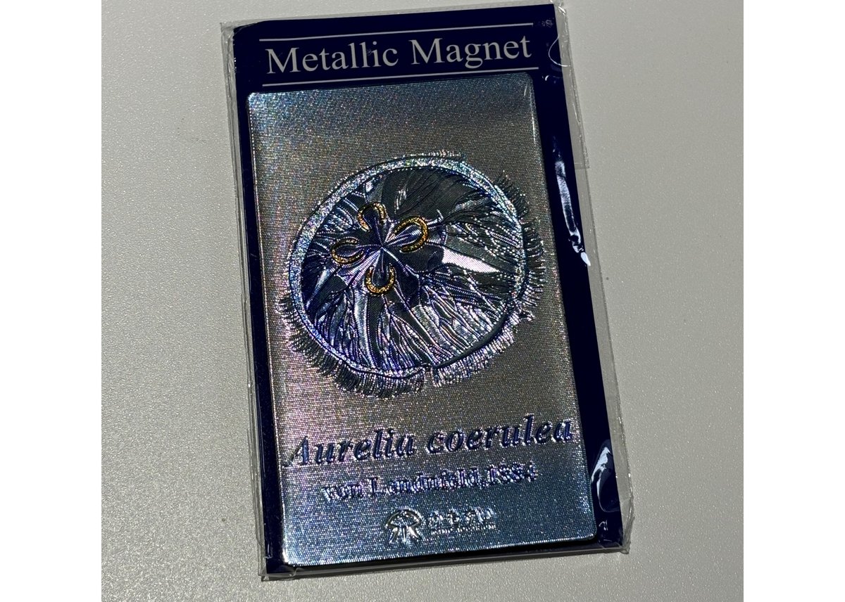 リースモルネク fit=scale-down,w=1200