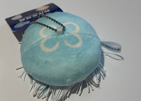 【おさかなくらげ様】専用オーダーページ みくらげ (@mikurage_huwax2) / Posts / X