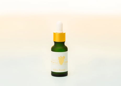 Cactus Oil 20ml