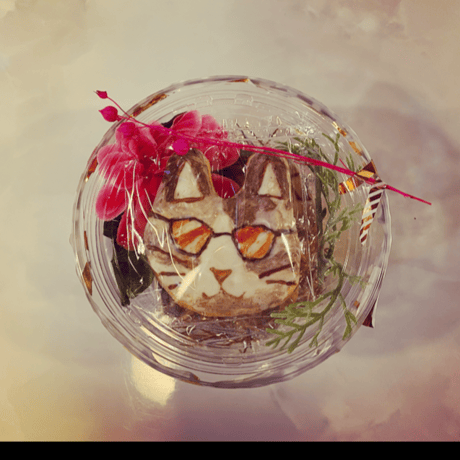 猫サラダ2種